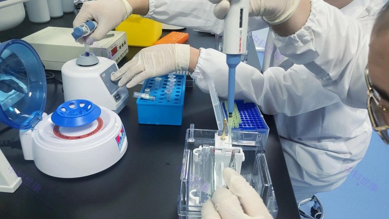 生物技术研发:解锁未来的生命科学大门