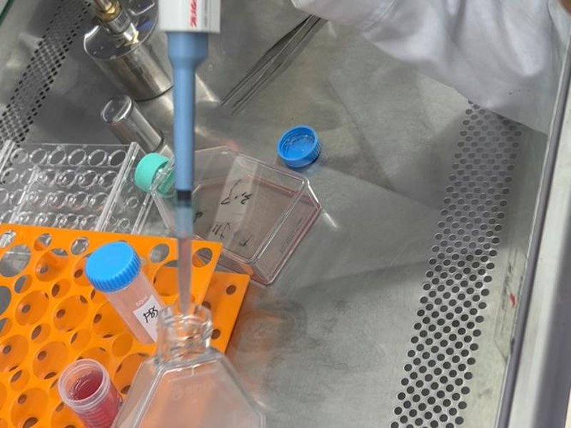 生物试剂选购与使用技巧